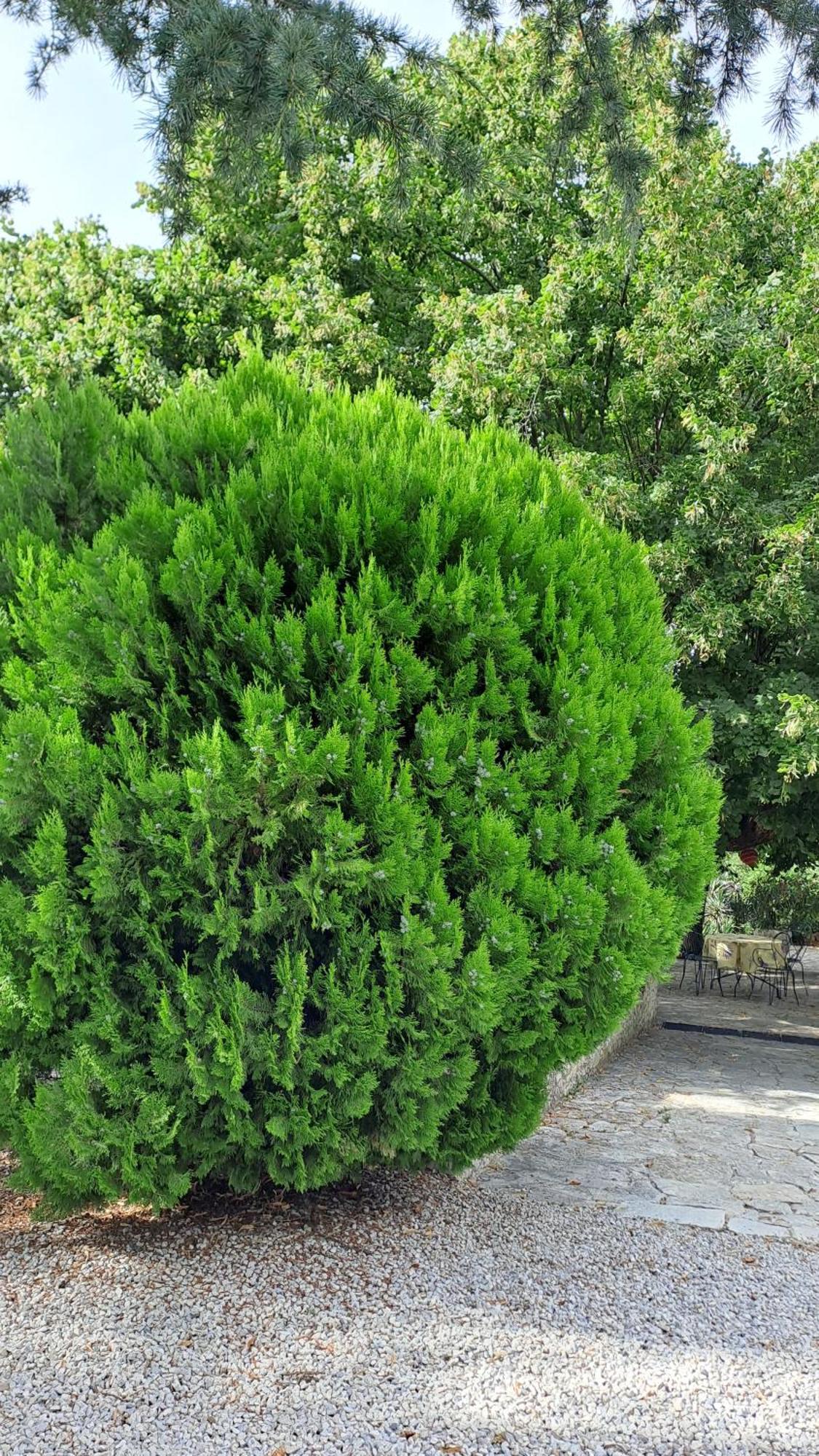 Appartement Le Calluna Sablet